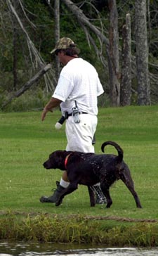 Extreme retriever kennels hotsell
